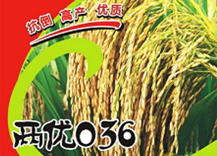 兩優(yōu)036
