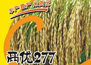 兩優(yōu)277