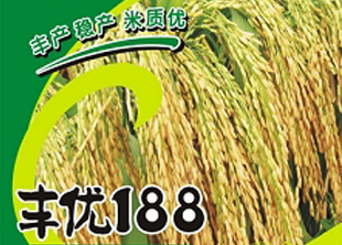 豐優(yōu)188