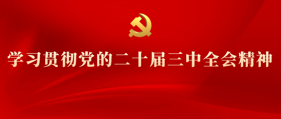 學(xué)習(xí)專欄 | 黨的二十屆三中全會精神解讀(十三)